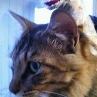のなび 会員画像
