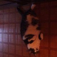 まーたむ 会員画像