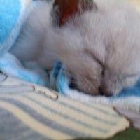 のり0913 会員画像