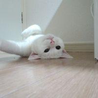 会員画像