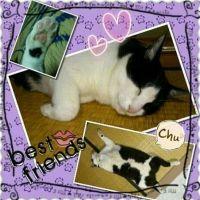 じゅうべー 会員画像