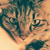 ロキひば 会員画像