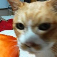 フミヤちゃん 会員画像