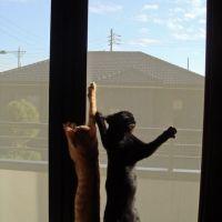 紅葉倫子 会員画像