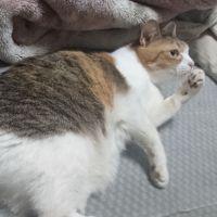 会員画像