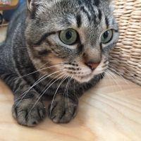 ふじねこ3776 会員画像