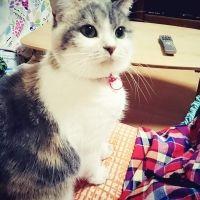 えりりんちゃん 会員画像