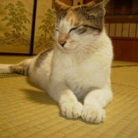 yoko 会員画像