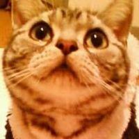 めりぃ! 会員画像