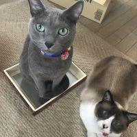 会員画像