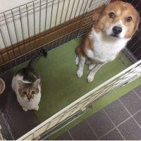 会員画像