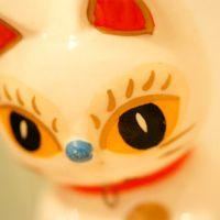 会員画像