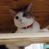 ひかしお 会員画像