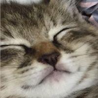 メラニー 会員画像