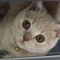 ラミラミ 会員画像