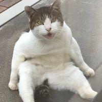 トリオ 会員画像