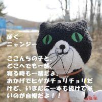 パタコ 会員画像