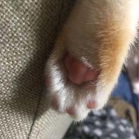 会員画像