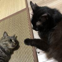 文太郎 会員画像
