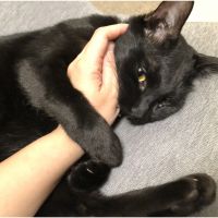 会員画像