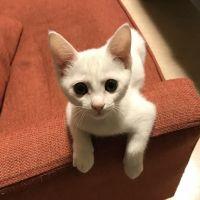 会員画像