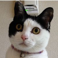 金時あずき 会員画像