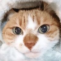 会員画像
