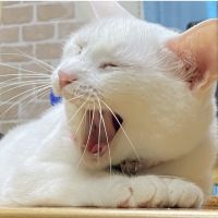 会員画像