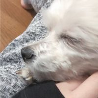 りくれあ 会員画像