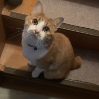 ラムたろう 会員画像