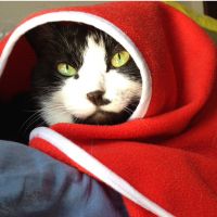 くれおみ 会員画像