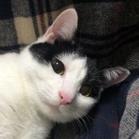 こーひーちゃん 会員画像