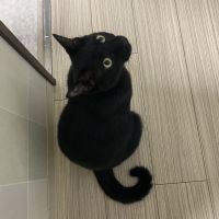 会員画像