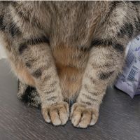 会員画像