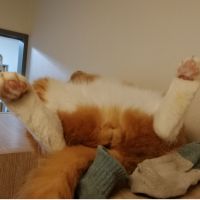 そうたぱぱ 会員画像