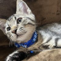 ひなな0409 会員画像