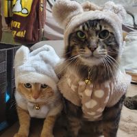 ぽんさん^. .^ ੭ 会員画像