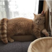 ミロクん 会員画像