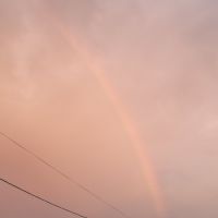 モズモ 会員画像