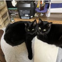 虎太郎のママさん