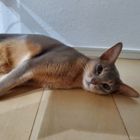 なおき0707さん