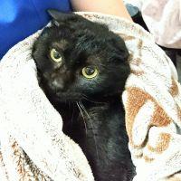 まりてぃ 会員画像