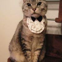 もんすけ 会員画像