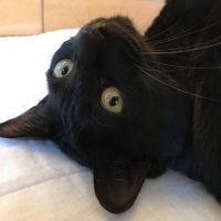 会員画像