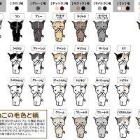 会員画像