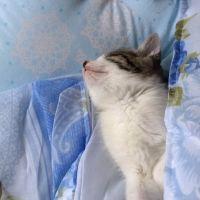 イナエ 会員画像