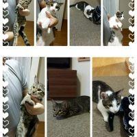 ユカママ 会員画像