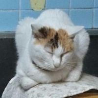 会員画像