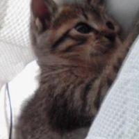 恵比寿 会員画像