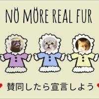 ニャぁ 会員画像